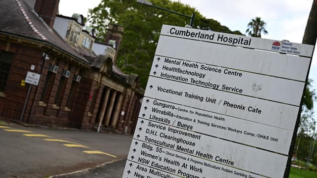 Security boost call as mental health patients flee care