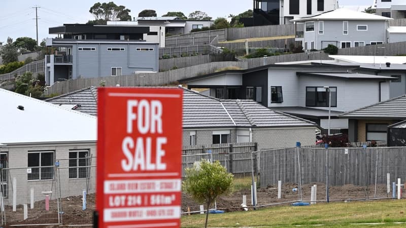 'Dumbest option': top economist slams housing tax break