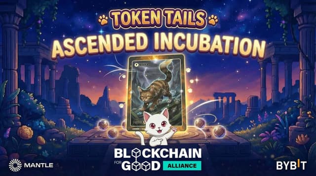 Blockchain for Good Alliance Names Token Tails Top 2025 Incubation Project for Scalable Stray Cat Rescue Infrastructure