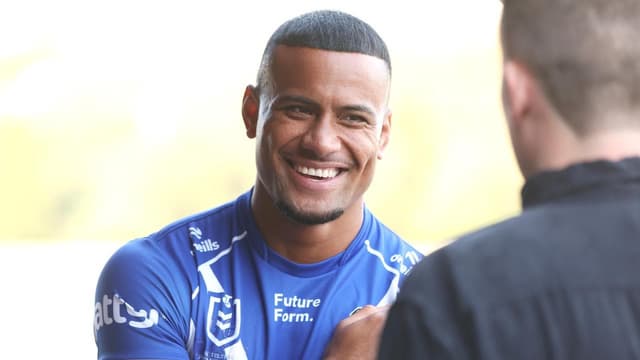 Dogs pick their time perfectly to be Vegas drawcards