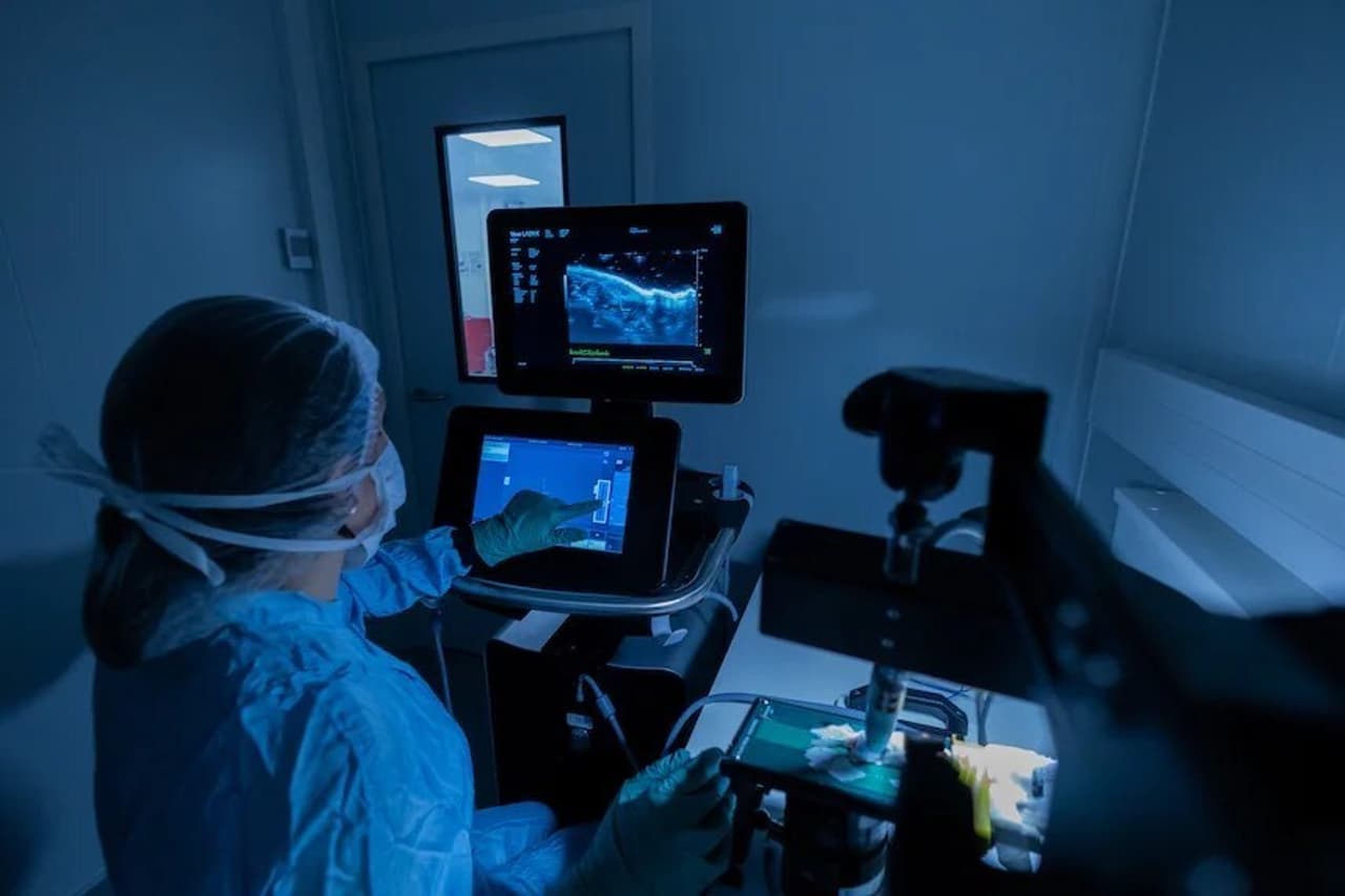 genOway: Revolutionizing the Prediction of Antibody Therapies in Humans with Unique Mouse Model