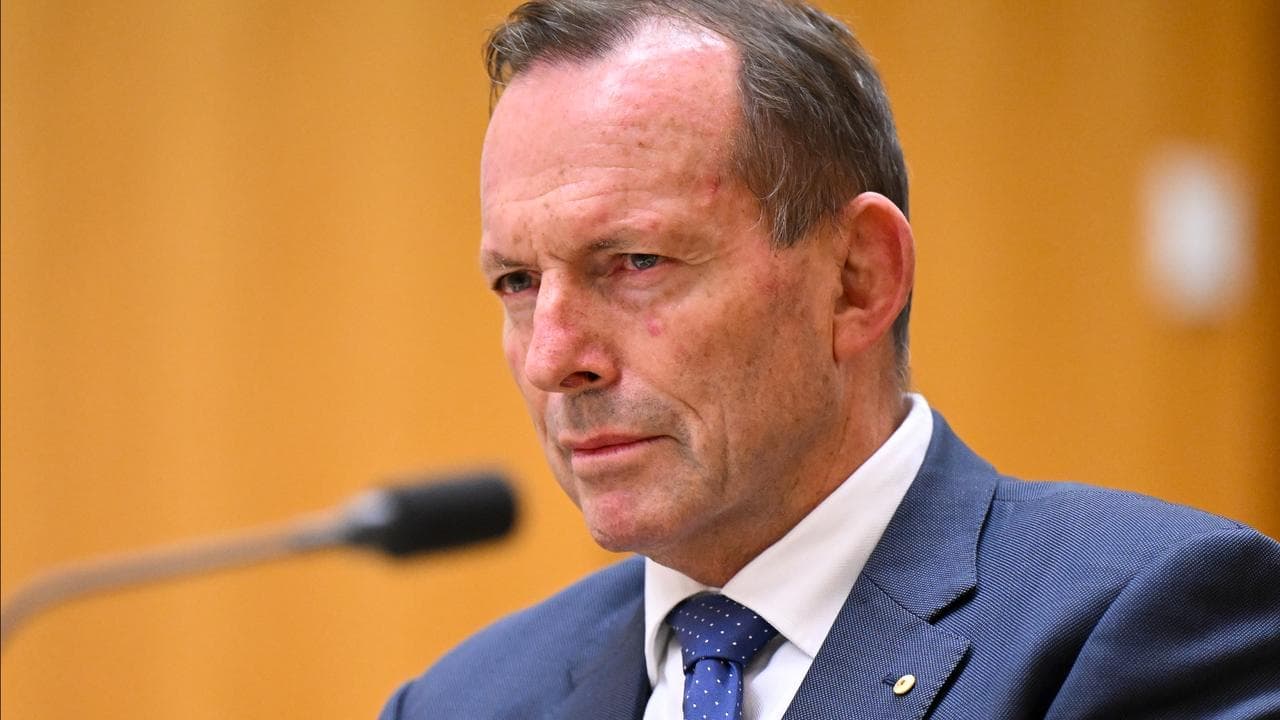Former PM Abbott the subject of political disinformation page