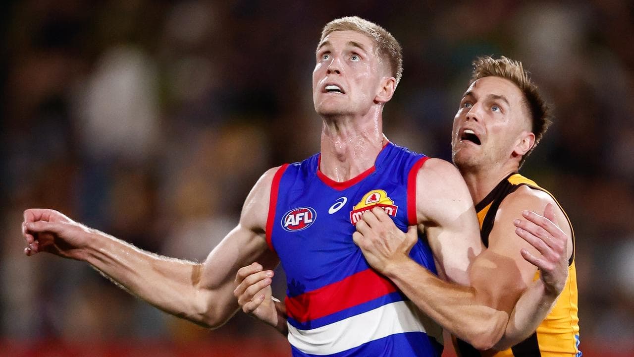 English lesson for Hawks in Dogs' perfect tune-up