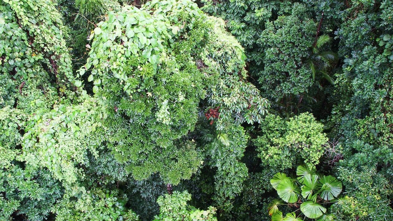 Couple on 'bucket list' trip before fatal zipline fall