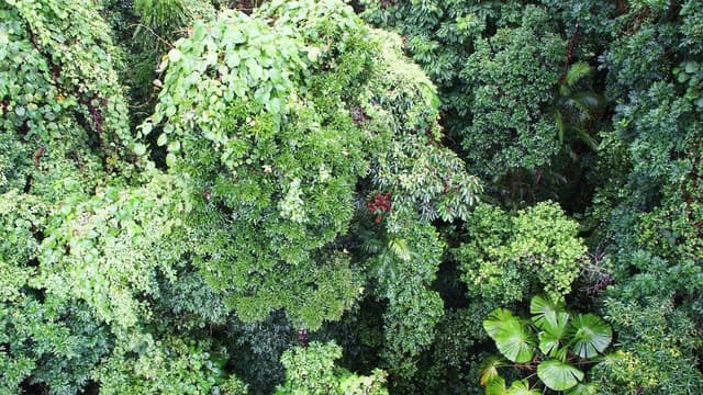 Couple on 'bucket list' trip before fatal zipline fall