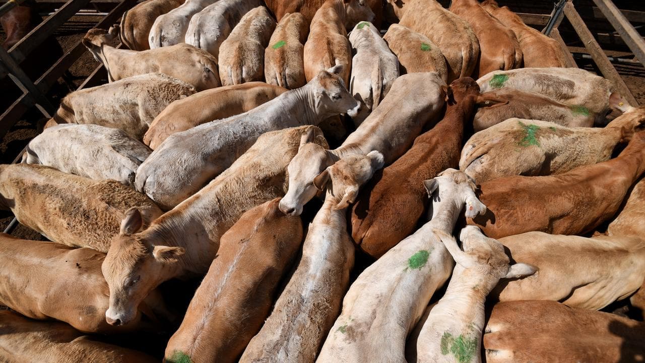 Agriculture hits $100b, but what goes up must come down