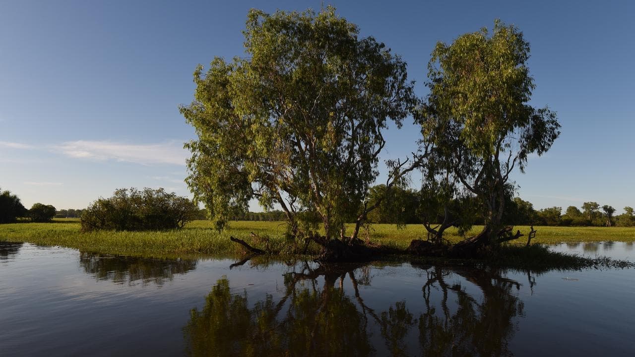 Carbon credit rewards MIA for Indigenous stewards