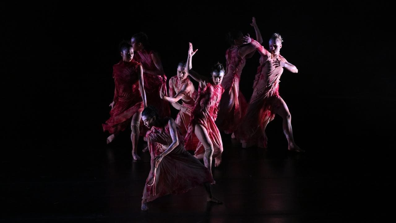 From Bangarra and Aust ballet grow seeds of a new dance