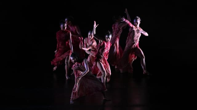 From Bangarra and Aust ballet grow seeds of a new dance