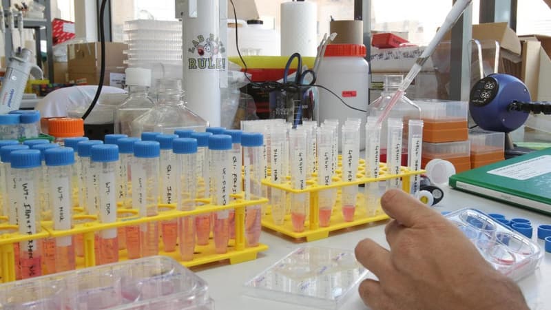 Biotech shares plunge after lung cancer drug's failure