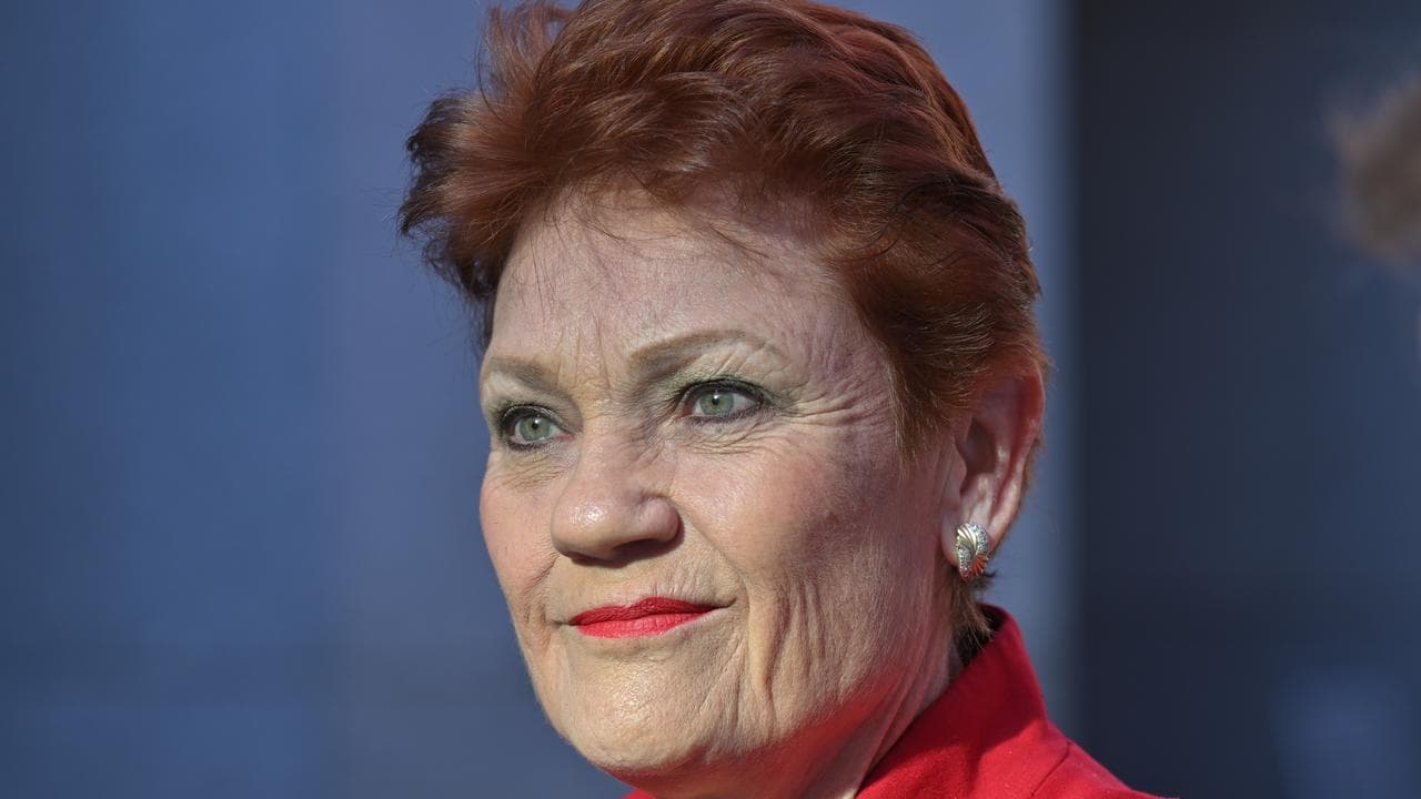 Hanson's claim about non-citizens on local councils is wrong