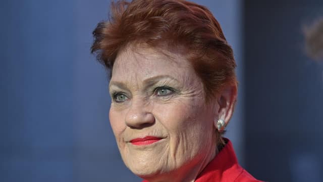 Hanson's claim about non-citizens on local councils is wrong