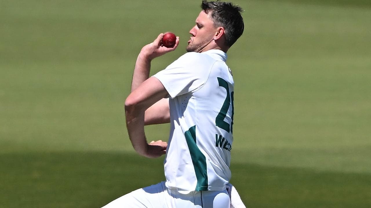 Webster takes four as Tasmania crush Queensland