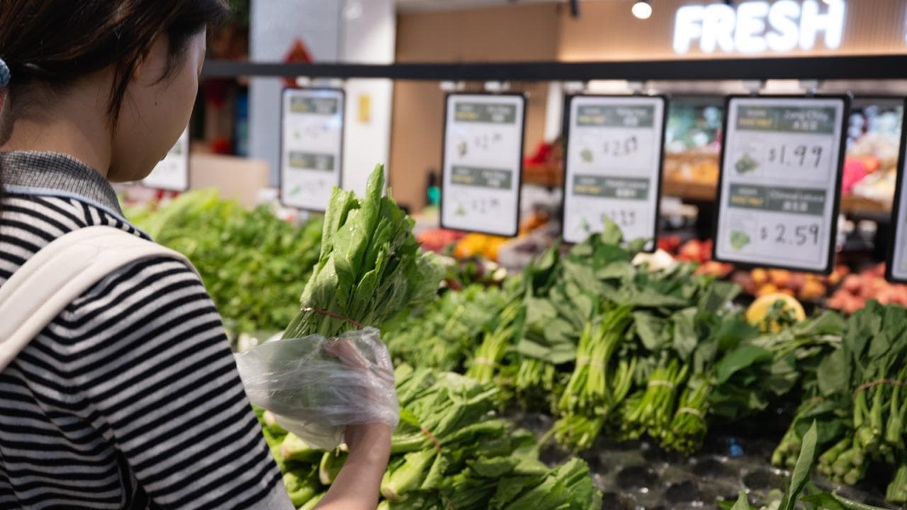 Snap probe into grocery supply amid fuel price pain