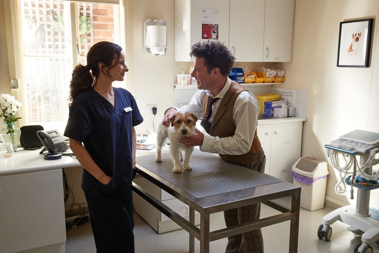 Celebrate National Puppy Day: Budget Direct Pet Insurance Highlights the Joy of New Beginnings and Lifelong Pet Wellness