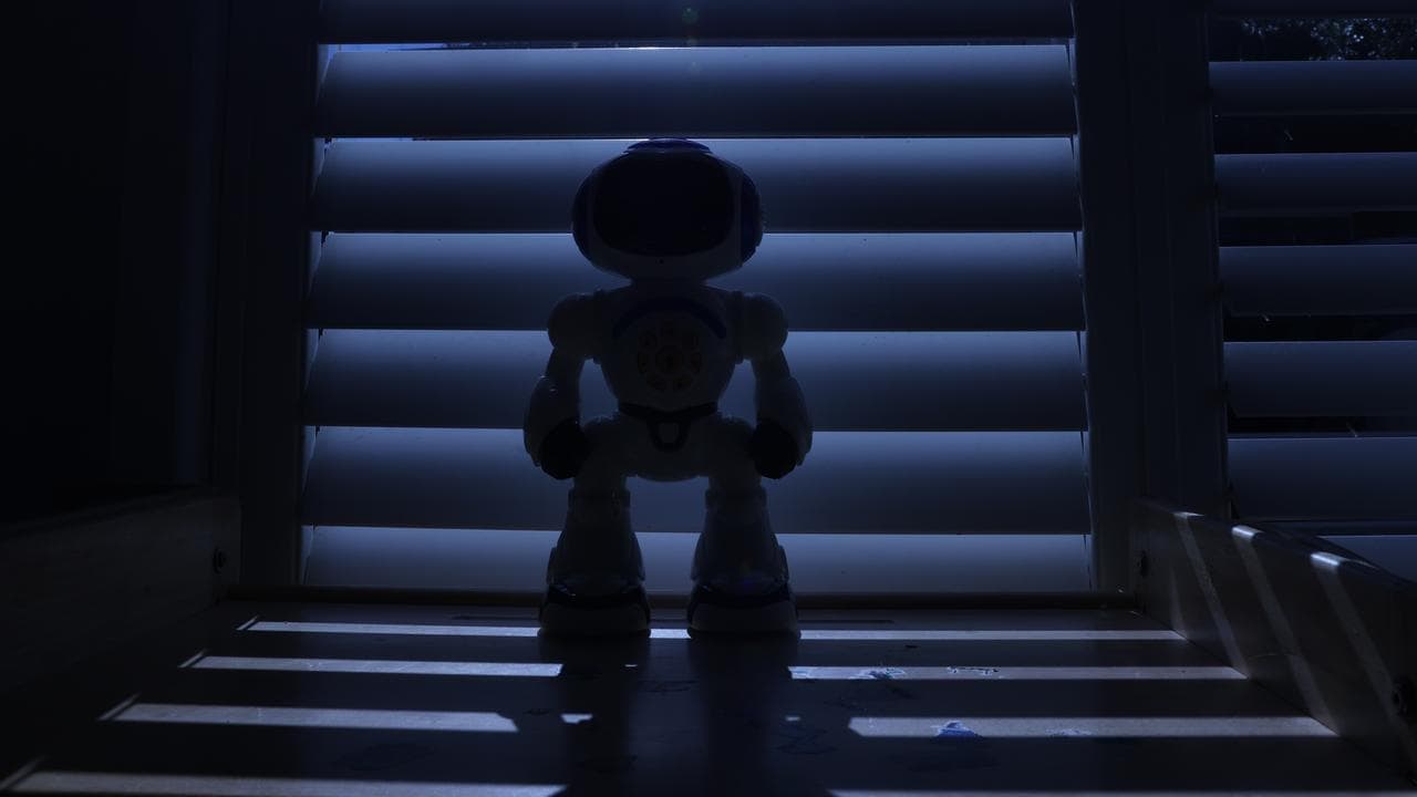 Robotics investment could create human jobs bonanza