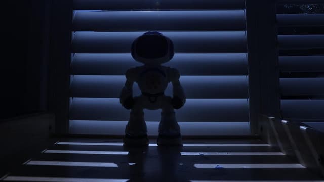 Robotics investment could create human jobs bonanza