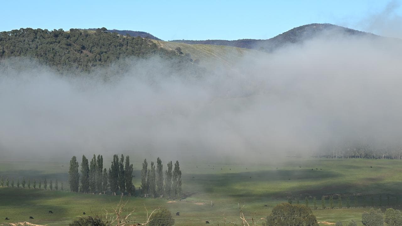 Dezi Freeman's final moments to be revealed in inquest