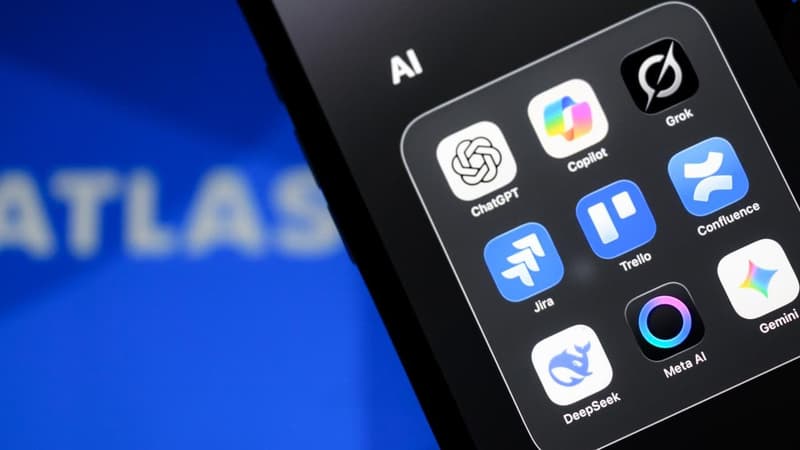 'Better world': inside Australia's pact with AI giant