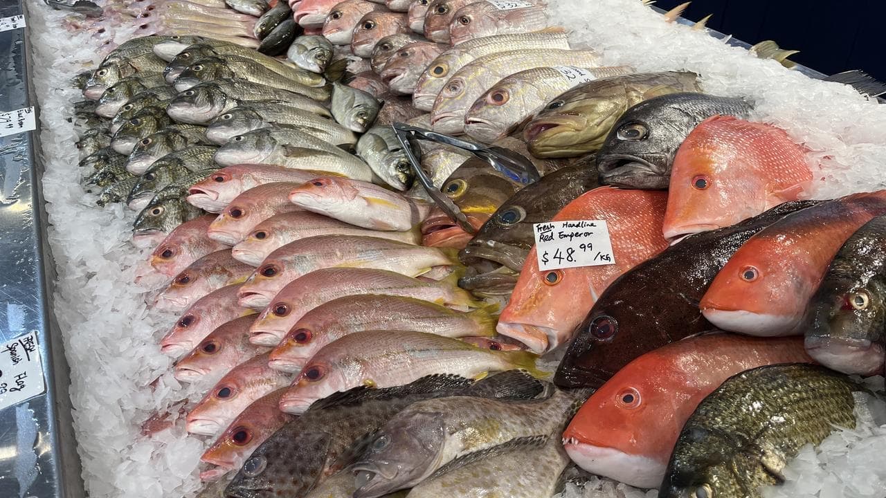 Fishing ban plan political and unscientific, court told