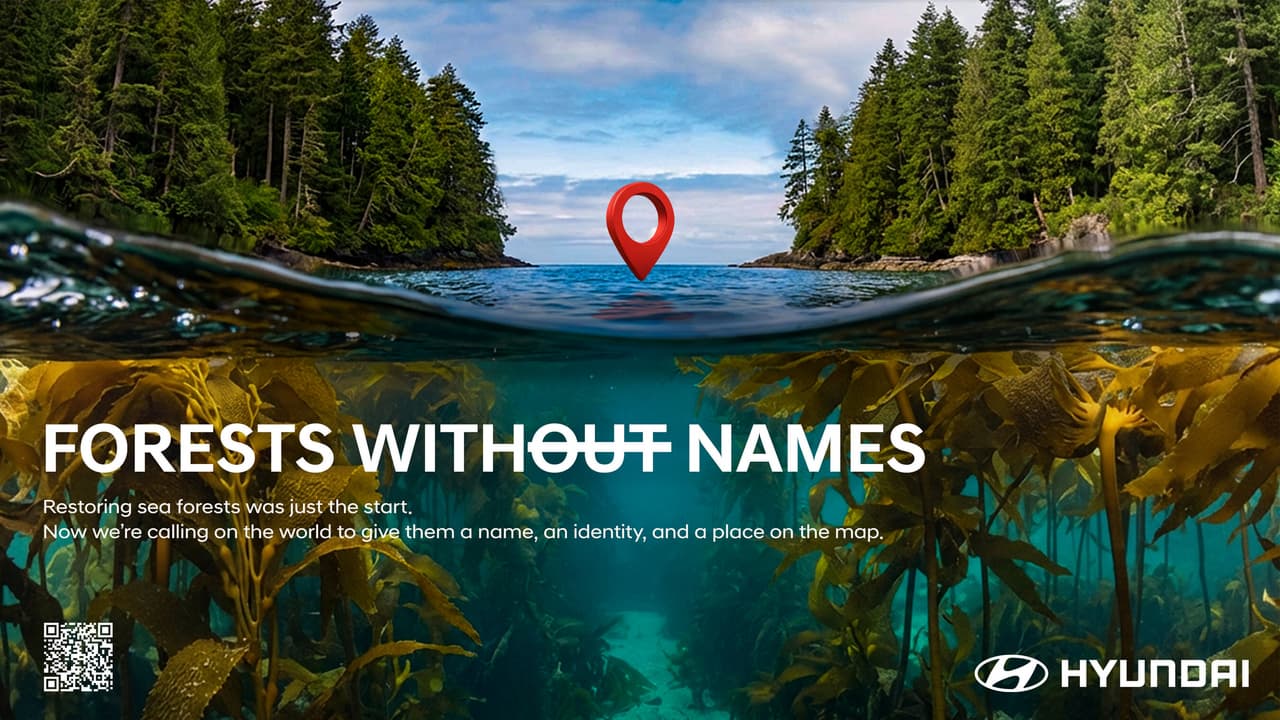 Forests Without Names: Hyundai Motor Brings the World's Hidden Sea Forests Into the Light