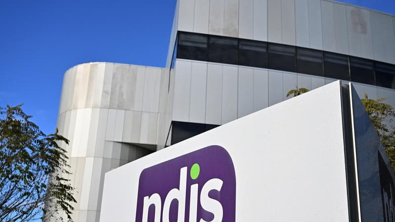 Labor MPs break ranks on budget disability reform