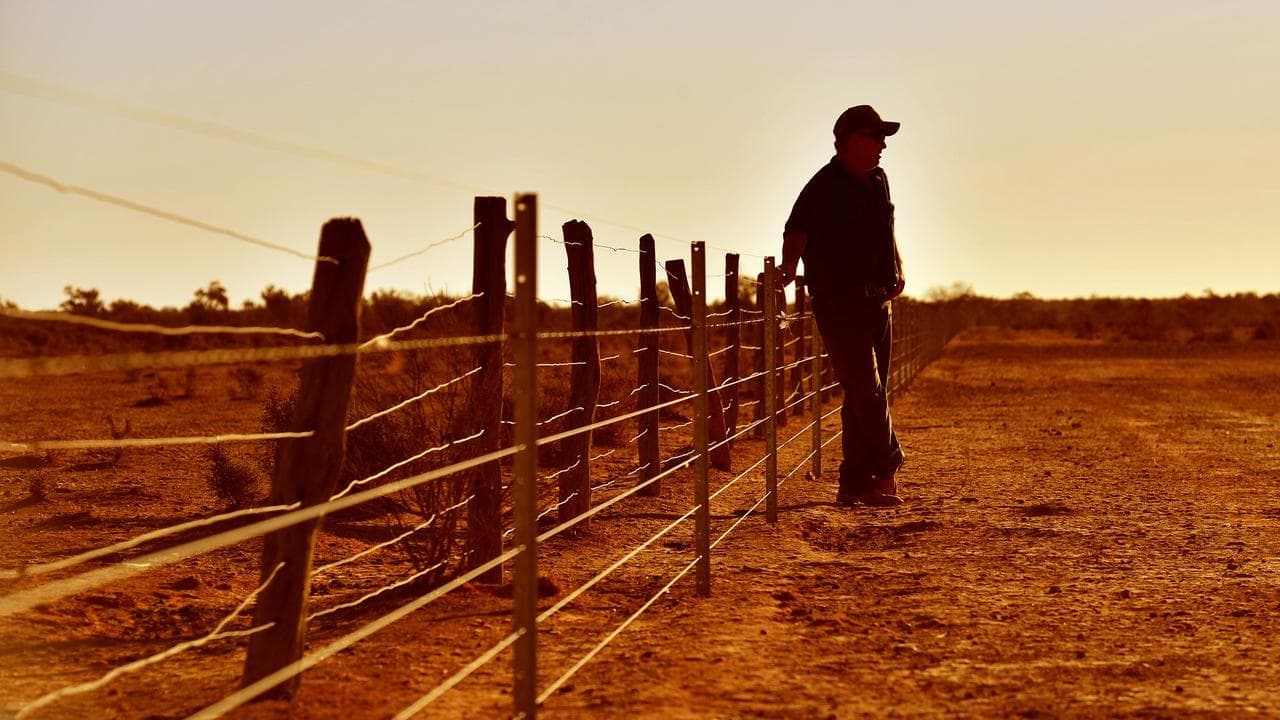 Red tape delays mental health care for rural Aussies