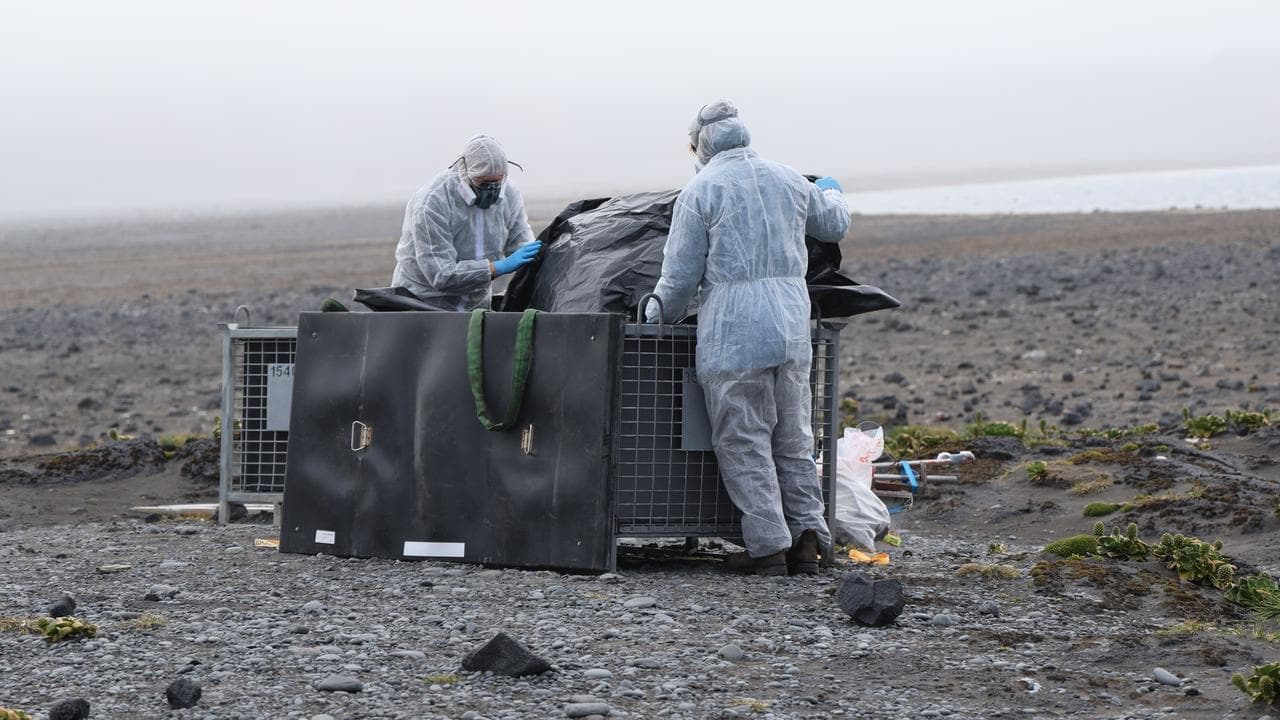 Full picture of deadly flu on island yet to be revealed