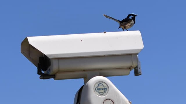 Crime fears spark home, train station safety debate