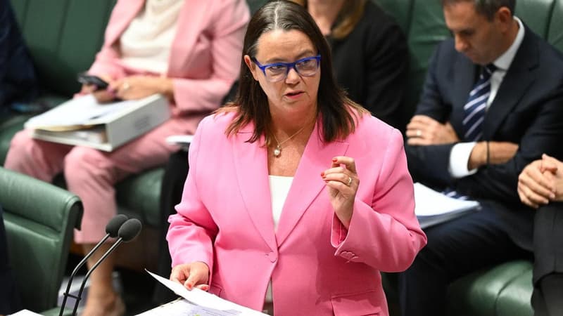 Resources minister defends gas companies amid tax push