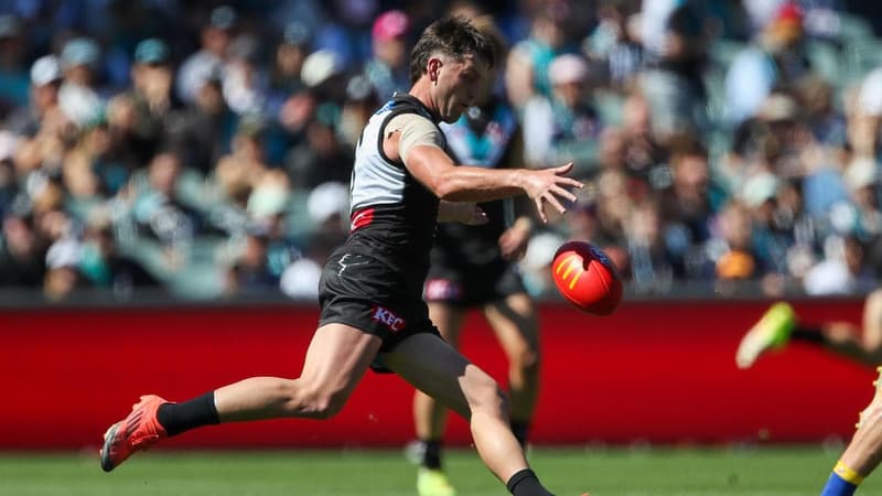 'Dismissively refused': Port criticise umpire
