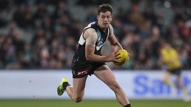 Port star 'disappointed' as umpire abuse charge upheld