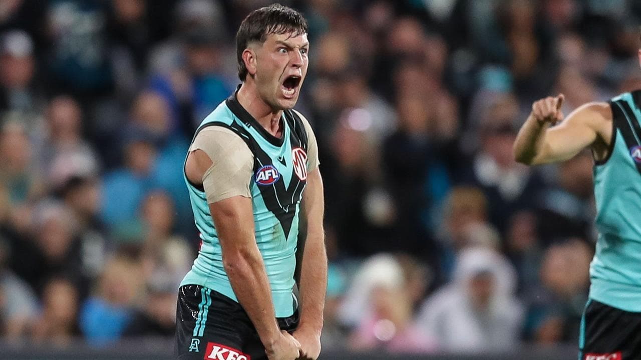 'Dubbed a liar': Port to appeal Butters verdict