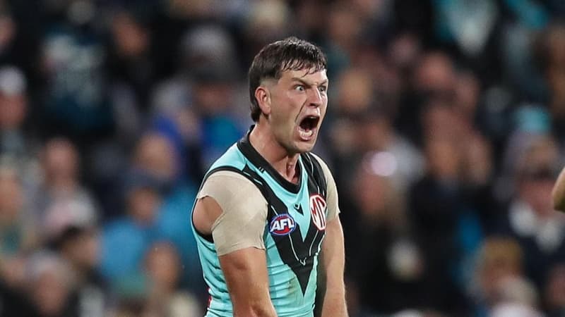 Port await star's tribunal ruling detail, ponder appeal