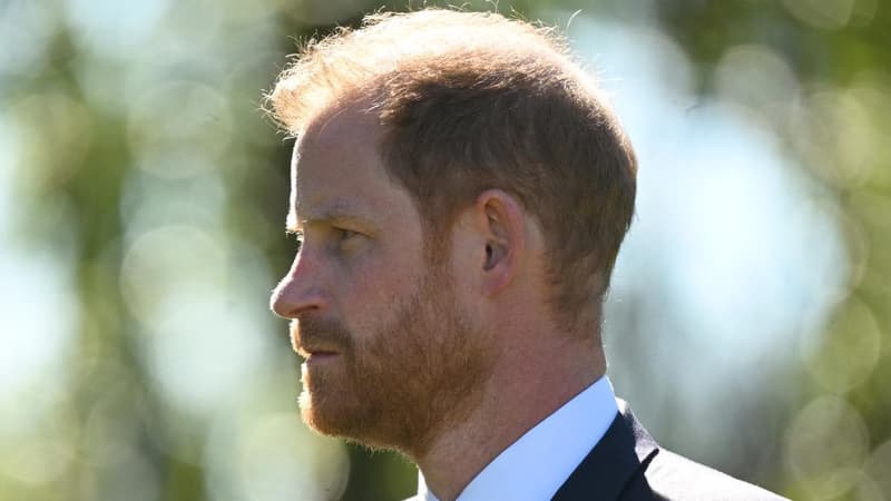'It killed my mum': Prince Harry reveals royal turmoil