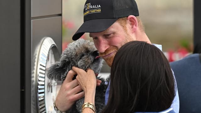 Ruff treatment for royals during day in the Sydney sun