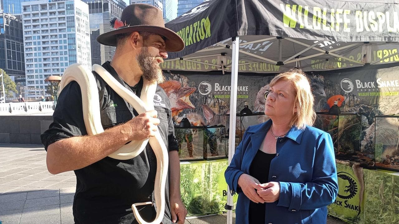 'Cruel and unsafe': crackdown on exotic animal trade
