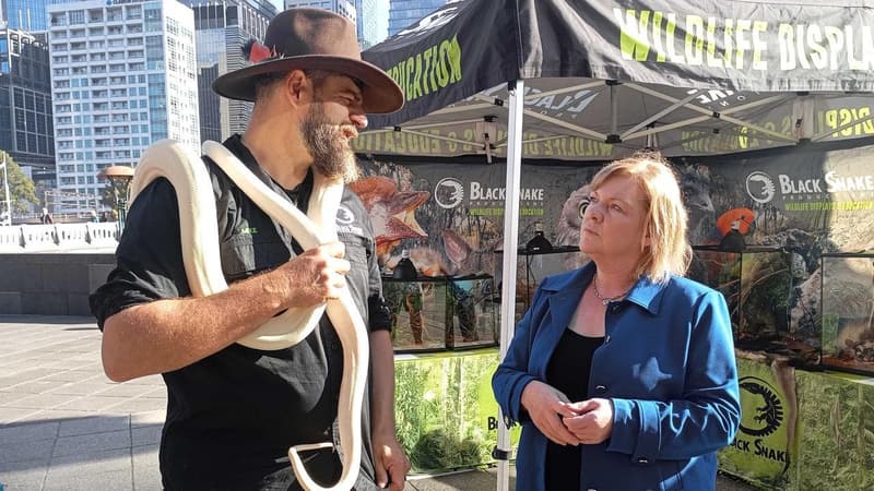 'Cruel and unsafe': crackdown on exotic animal trade