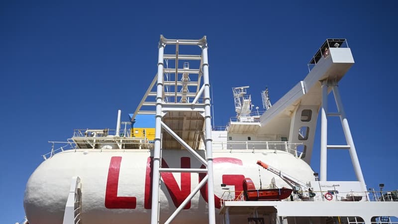 Backbencher break ranks with call for gas export tax