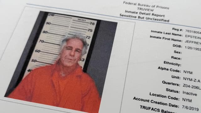 US govt watchdog to review release of Epstein files
