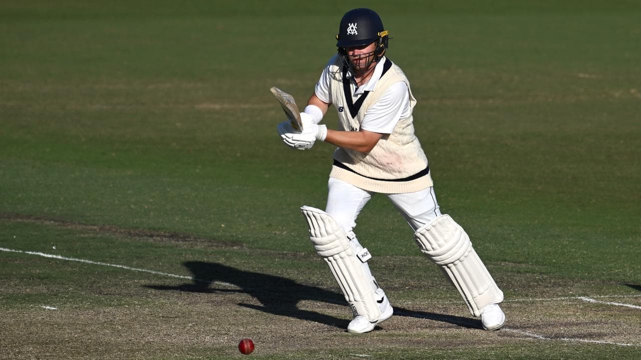 Wild about 'Harry': another ton for run-hungry Aussie