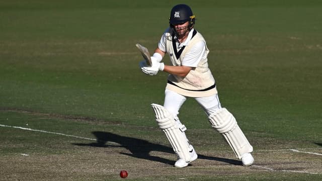 Wild about 'Harry': another ton for run-hungry Aussie