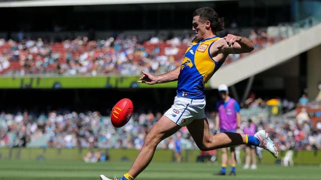 Time to atone: Eagles vow to bounce back against Tigers