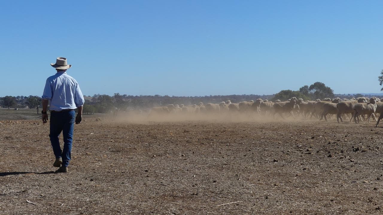 'Trying times': farmers stare down trifecta of troubles