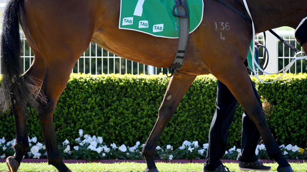 Long faces after barrier blunder in premier horse race