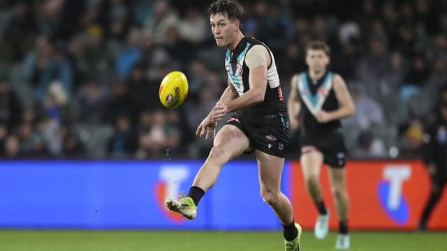 AFL umpire ends betting agency role after tribunal case