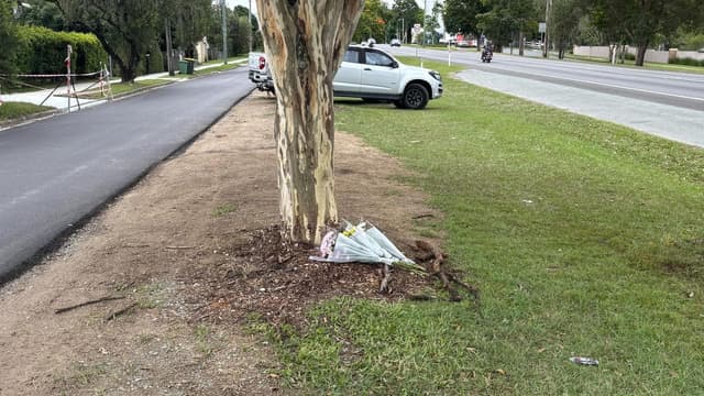 Fatal crash leads to alleged driver's school discovery