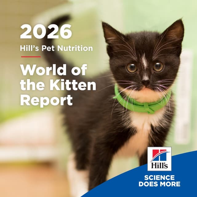 Blueprint for a Lifetime: Hill's 'World of the Kitten' Report Supports Veterinary Teams & Pet Parents in Navigating the Critical First Year