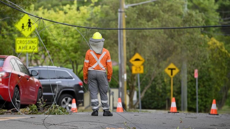 'Disregard for safety': Ausgrid facing two lawsuits