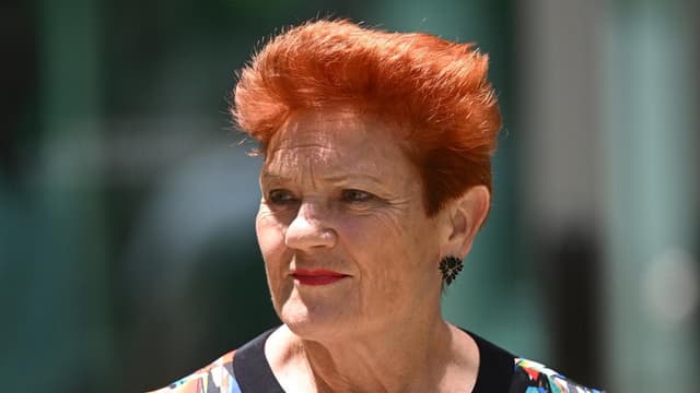 Hanson backflips to support volunteer in pre-poll clash